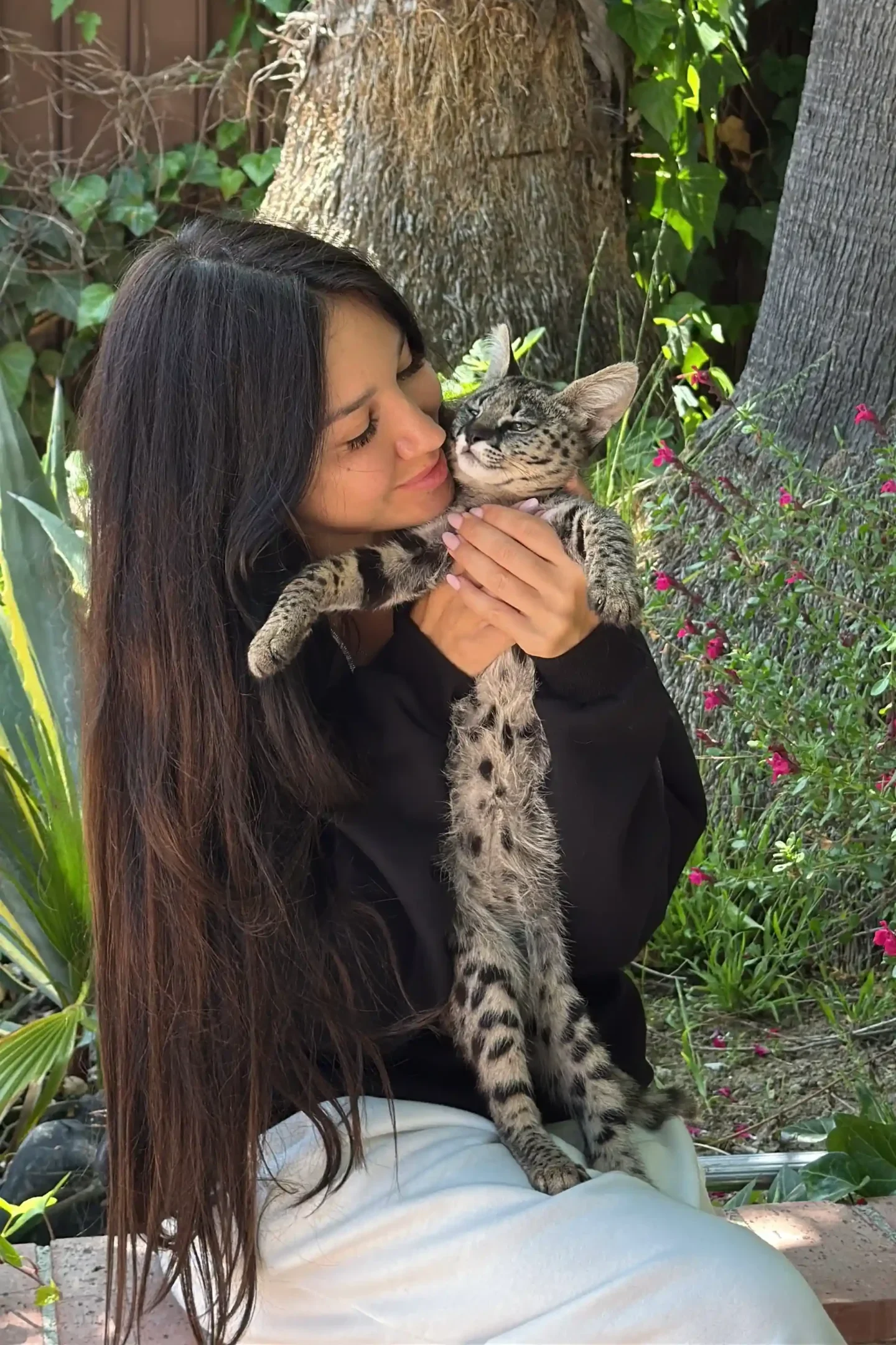 F1 PH “Moonshadow”